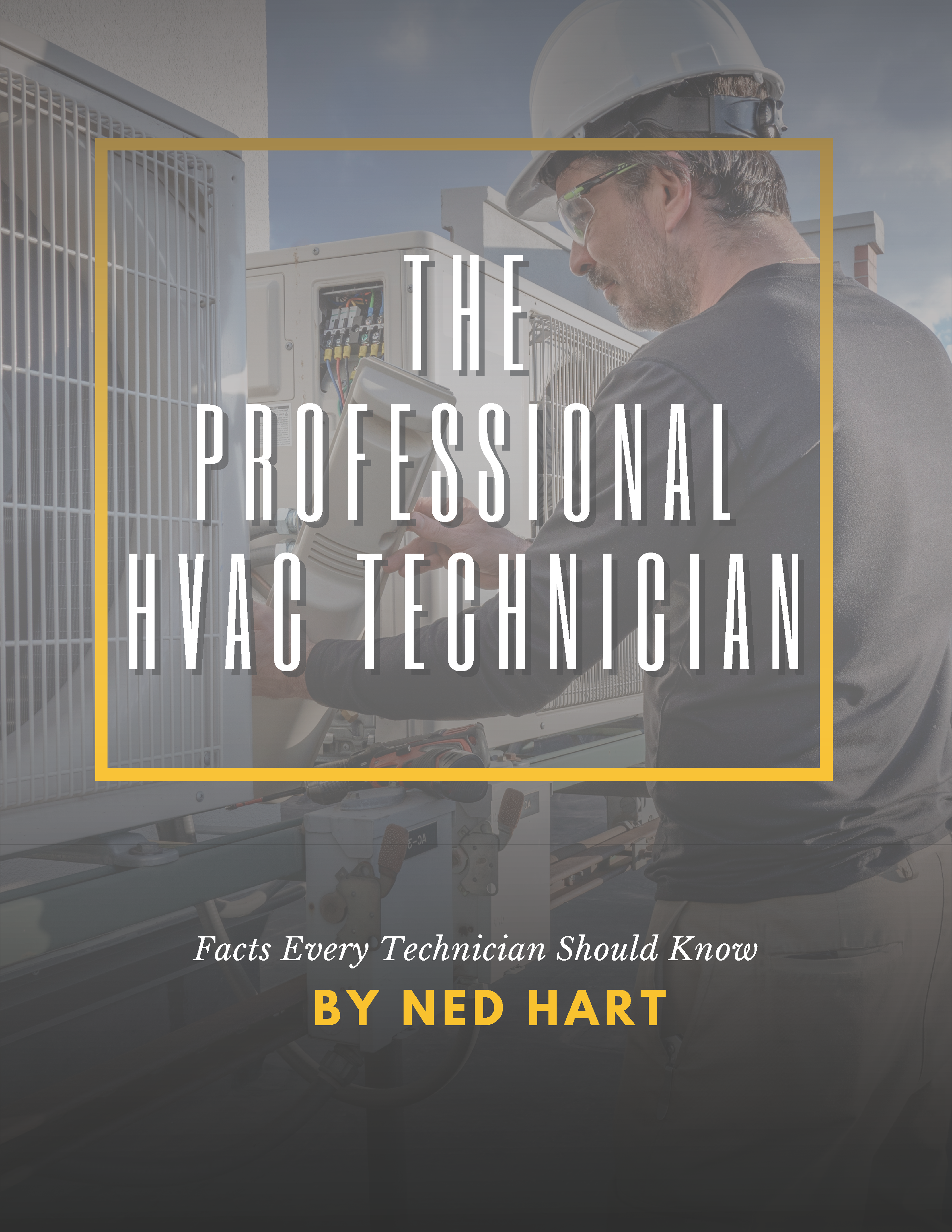 The Professional HVAC Technician